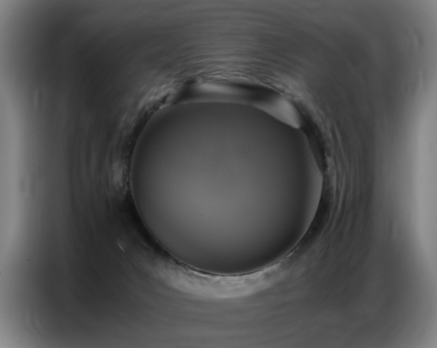 X0000087320031200704201118