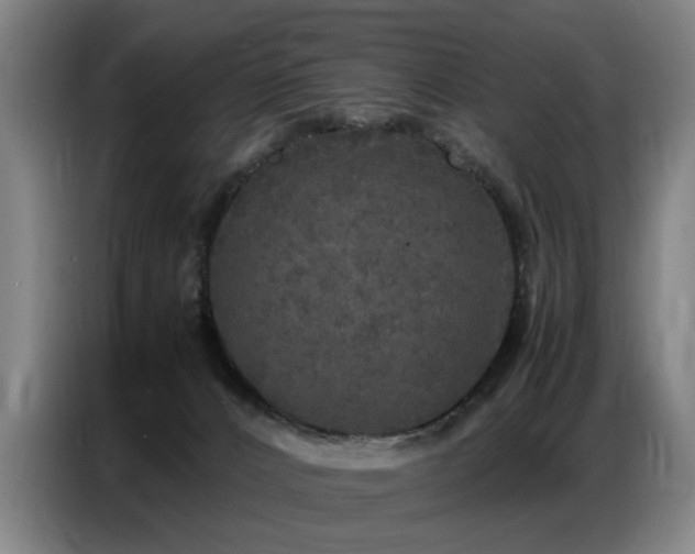 X0000087320032200704201118
