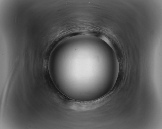 X0000087320033200704201118