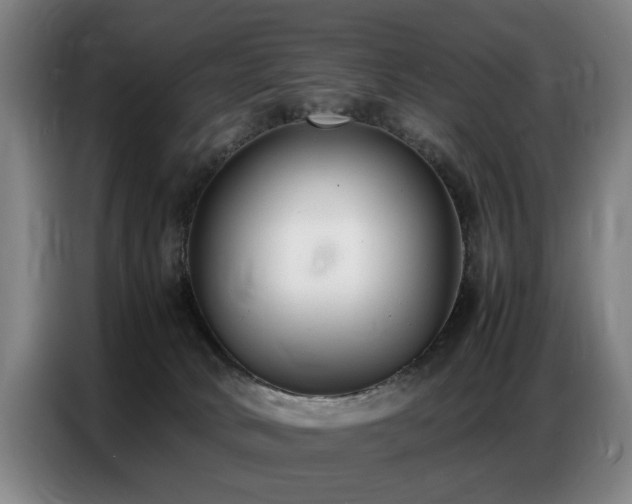 X0000087320034200704201118