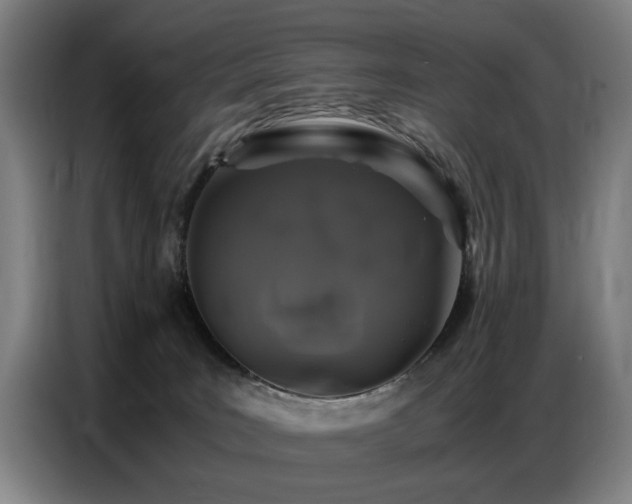X0000087320035200704201118