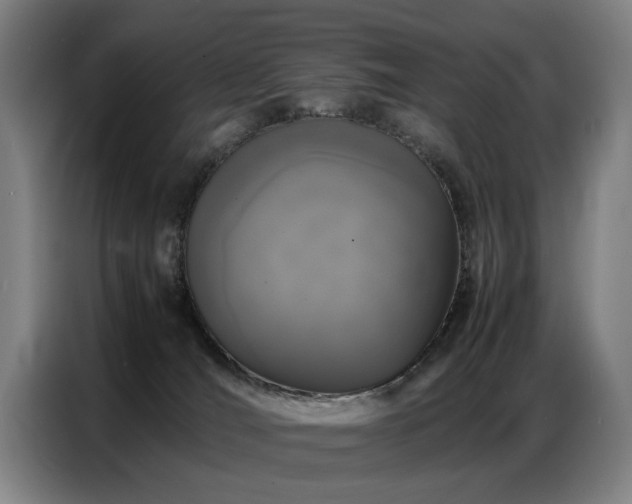 X0000087320036200704201118