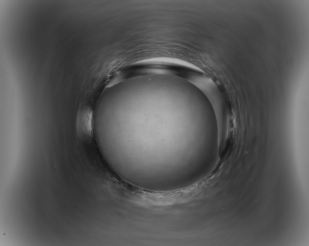 X0000087320041200704201118