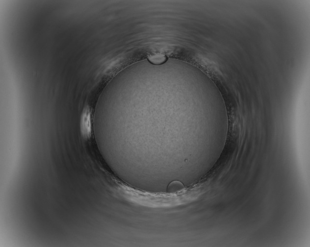 X0000087320042200704201118