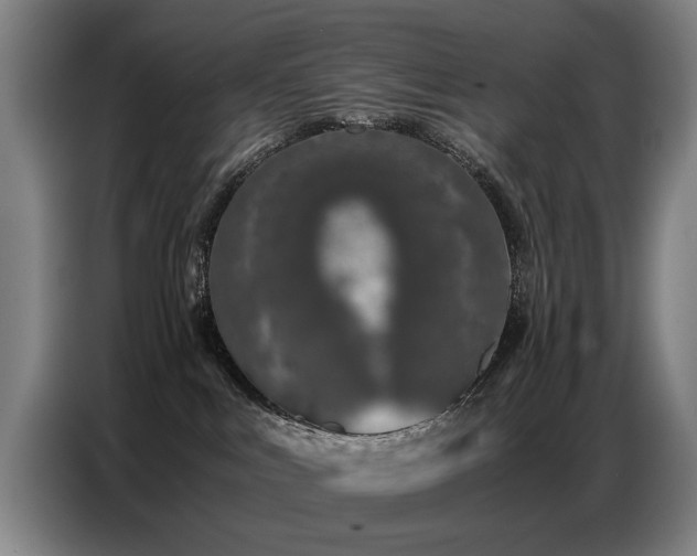 X0000087320043200704201118