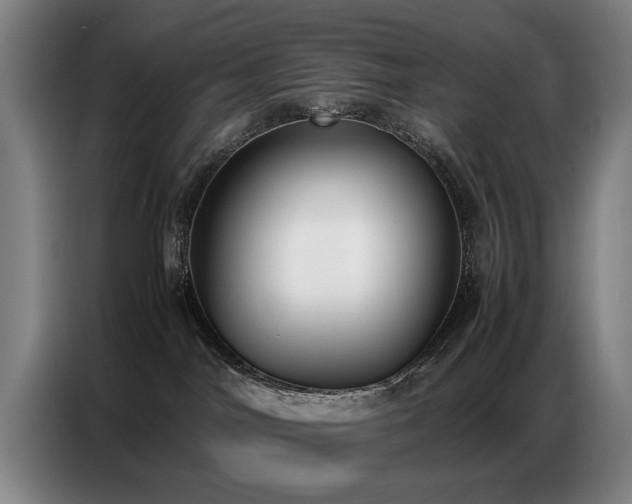 X0000087320044200704201118