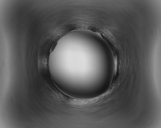 X0000087320045200704201118