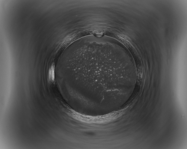 X0000087320046200704201118