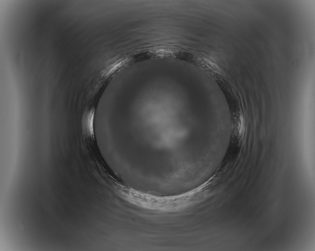 X0000087320047200704201118