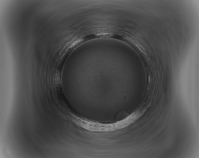X0000087320048200704201118