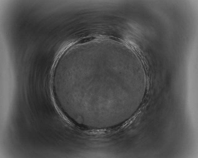 X0000087320049200704201117