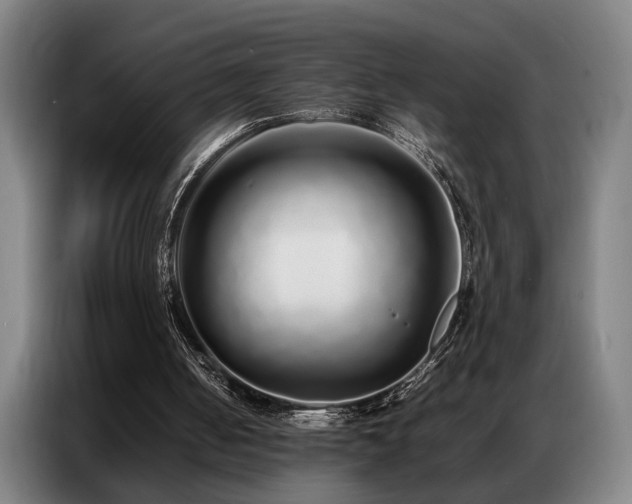 X0000087320050200704201117