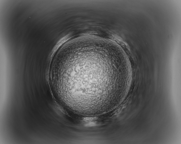 X0000087320051200704201117