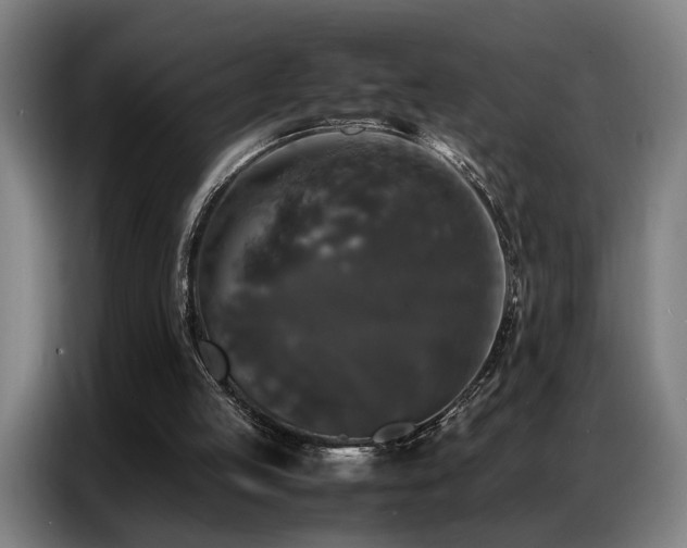 X0000087320053200704201117