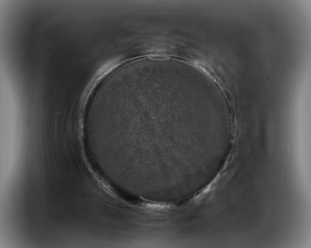 X0000087320055200704201117