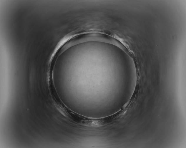 X0000087320056200704201117