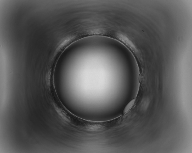 X0000087320058200704201117