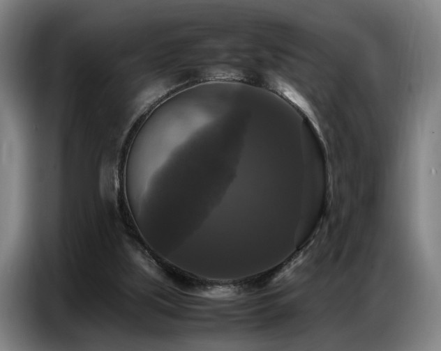 X0000087320059200704201117