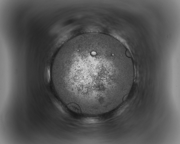 X0000087320061200704201117