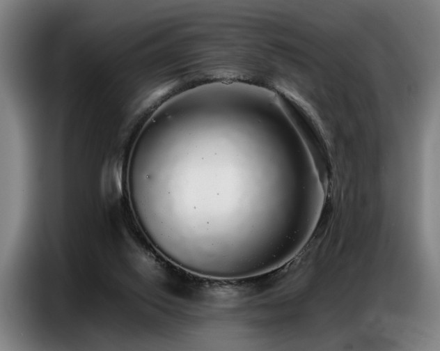 X0000087320062200704201117