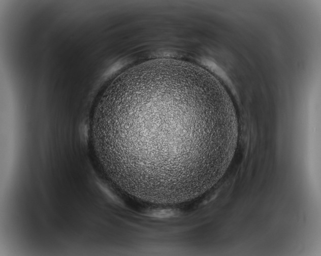 X0000087320063200704201117