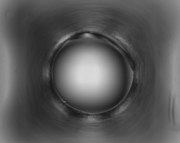 X0000087320064200704201117