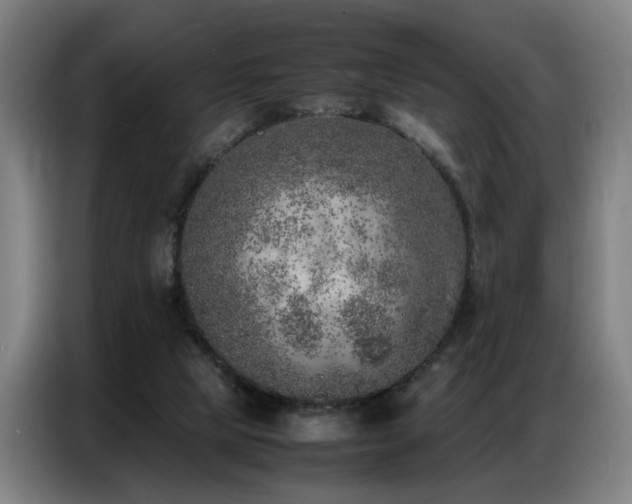 X0000087320065200704201117