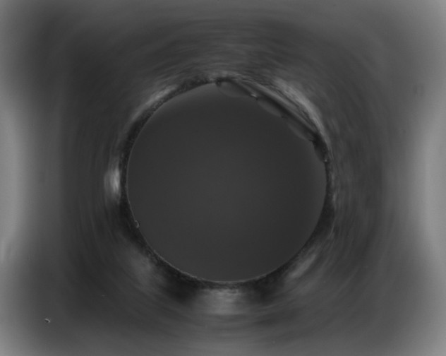 X0000087320067200704201117