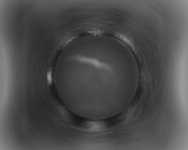 X0000087320069200704201117