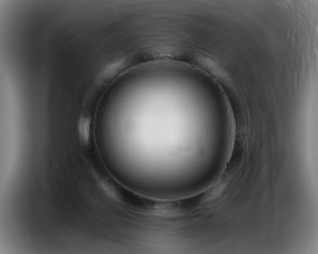 X0000087320070200704201117
