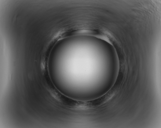 X0000087320072200704201117