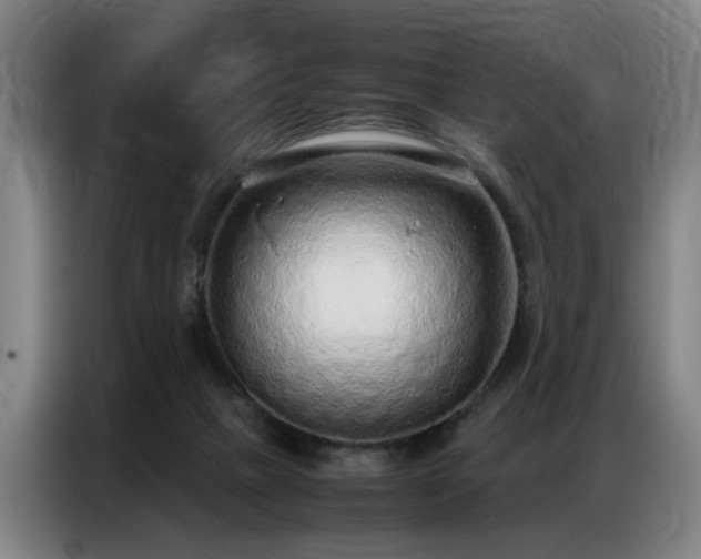 X0000087320073200704201118