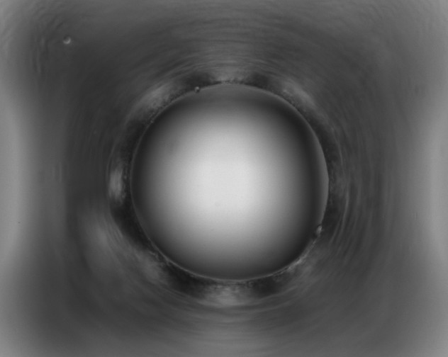 X0000087320074200704201118