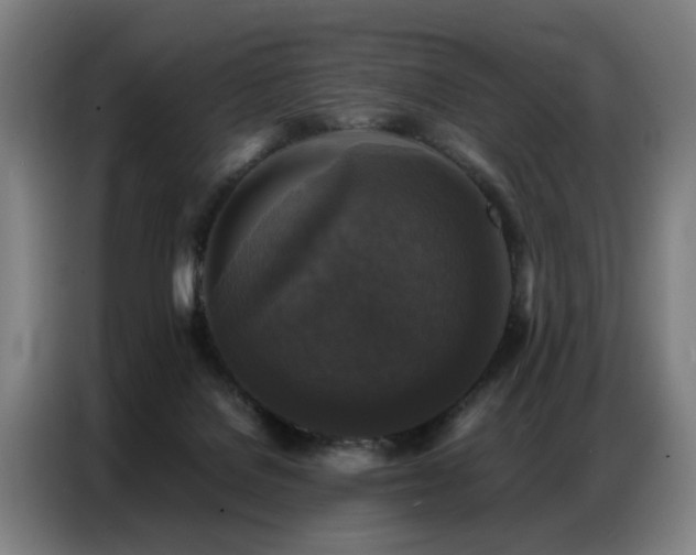 X0000087320076200704201118