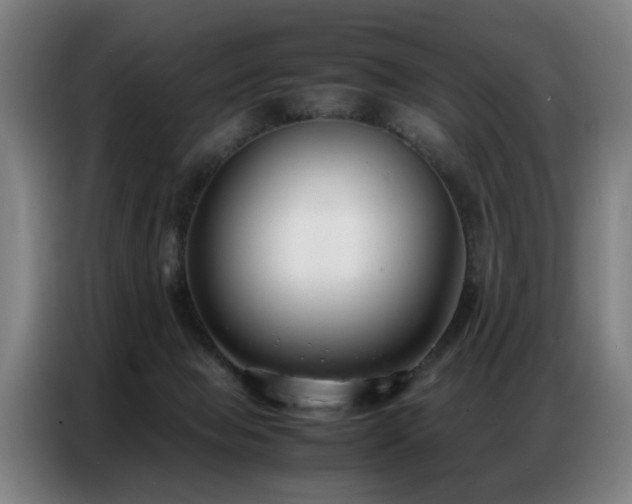 X0000087320077200704201118