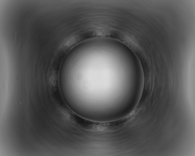 X0000087320078200704201118