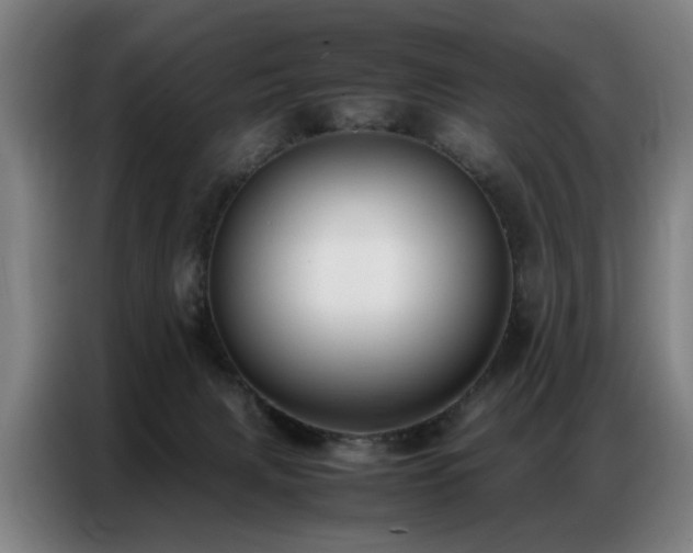 X0000087320079200704201118