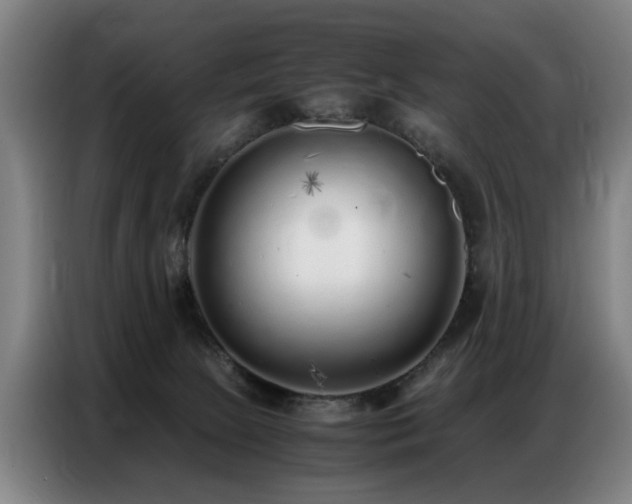 X0000087320081200704201118