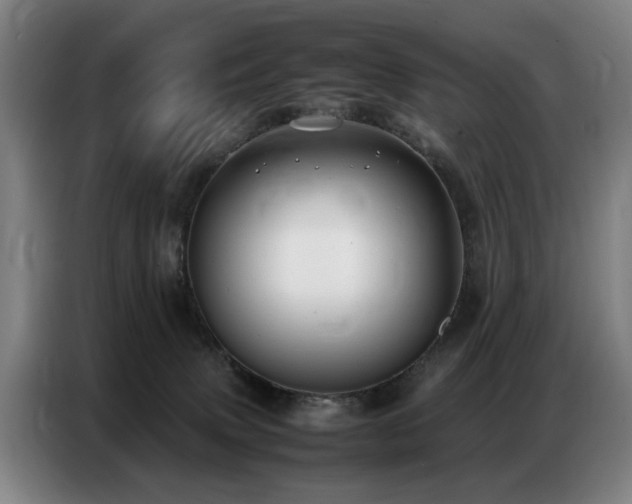 X0000087320083200704201118