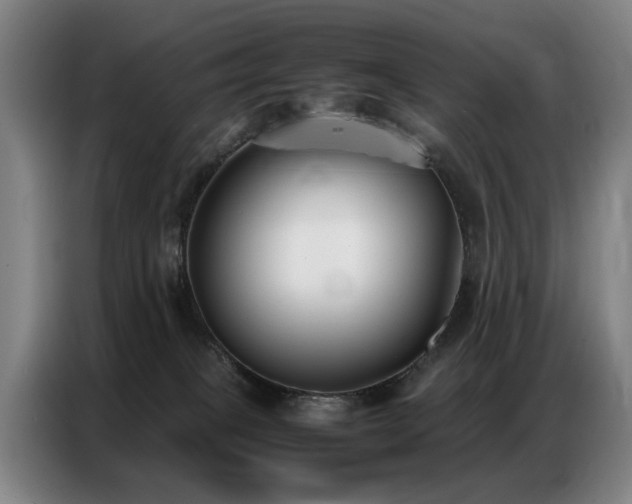 X0000087320085200704201118