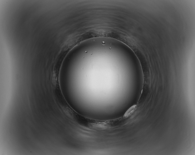 X0000087320086200704201118