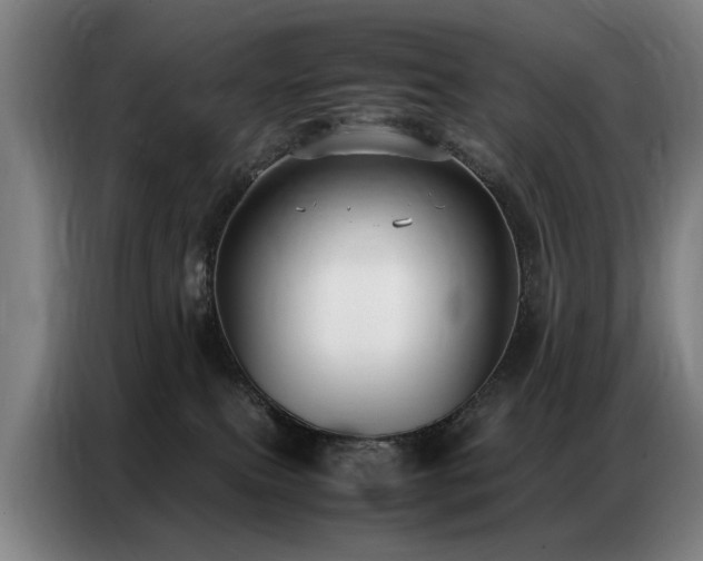 X0000087320087200704201118