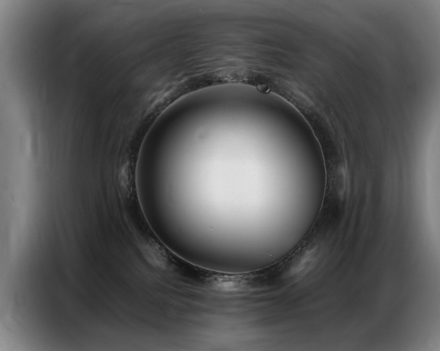 X0000087320088200704201118