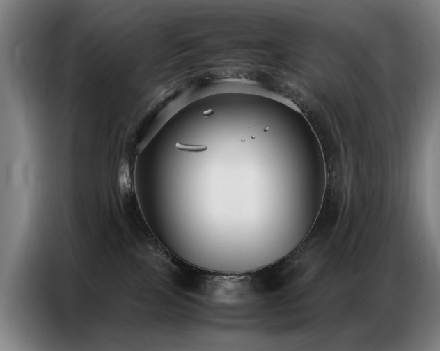 X0000087320089200704201118