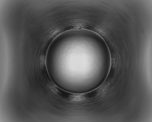 X0000087320093200704201118