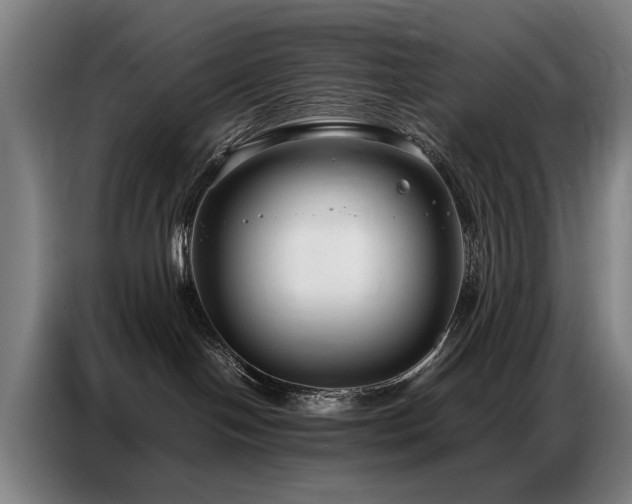 X0000087320094200704201118
