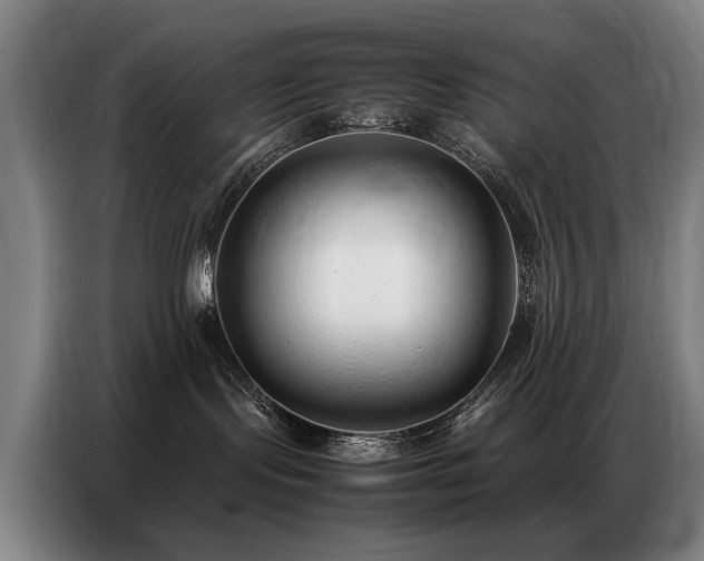 X0000087320095200704201118