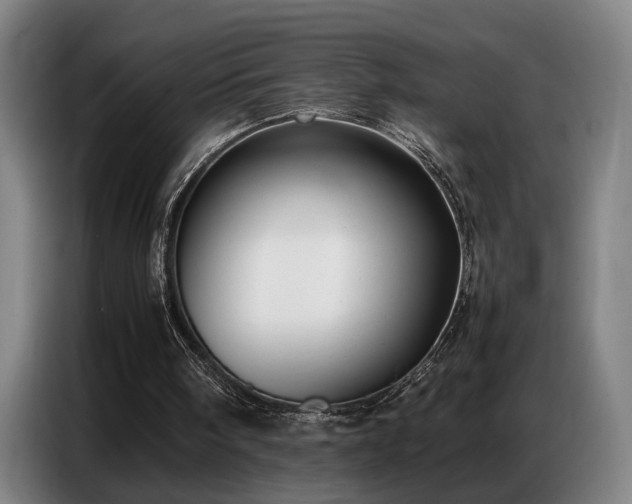 X0000087320098200704201117