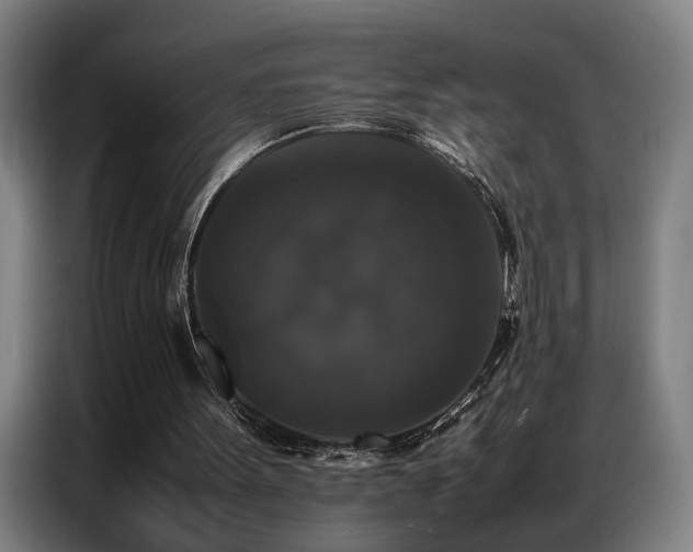 X0000087320099200704201117