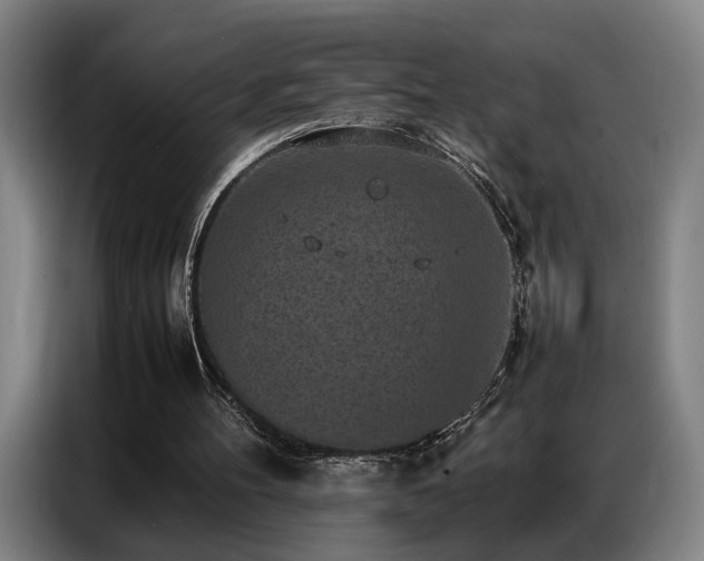 X0000087320100200704201117